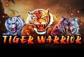 TheTigerWarrior