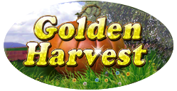 Golden Harvest